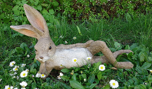 复活节兔子, 复活节, 绿色, 草甸, 春天, 野兔, 草