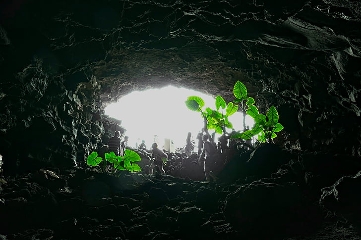 cave, lanzarote, dark, light, bill, green, plant