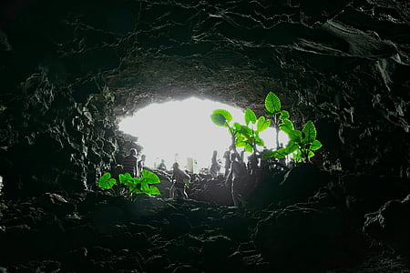 洞穴, 兰萨罗特岛, 黑暗, 光, 条例草案, 绿色, 植物