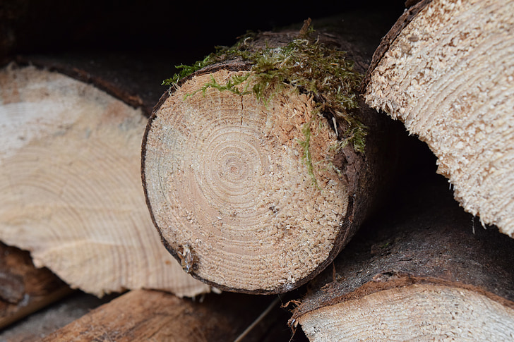 hout, brandhout, holzstapel, groeiende voorraad, logboek, gestapeld, opslag