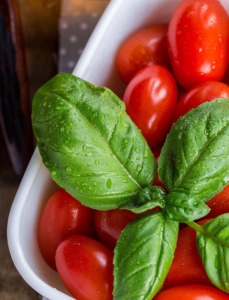tomate, produtos hortícolas, comida, vermelho, colheita, Verão, verdes