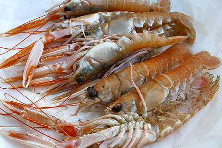lagostins, frutos do mar, frutos do mar, delicioso, prato, cozinha