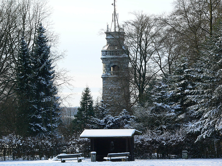 vinter skov, sne, vinterlige, kolde, vinter magi, Bismarckturm, monument
