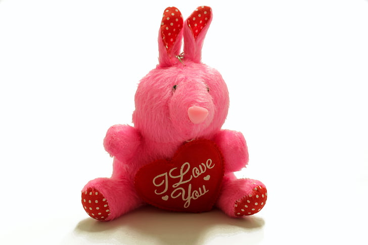 valentine's day, memory, present, plush, stuffed animal, love, celebration