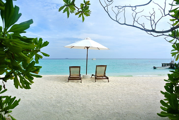 Maldīvija, kokosriekstu koks, jūra, kūrorts, vasaras, brīvdiena, debesis