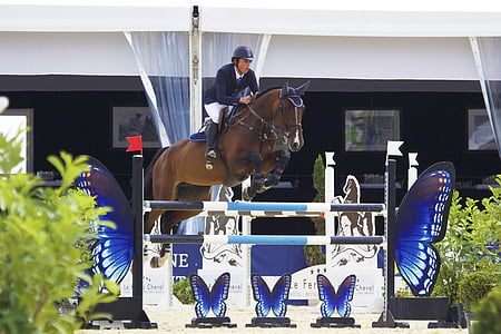 horse, jump, contest, equestrian, sport, competition, rider