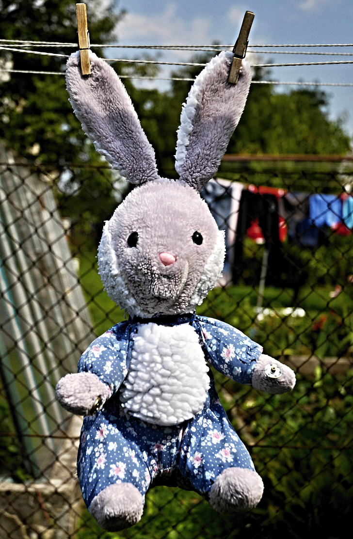 rabbit, toy, hanging, ears, puppy, on the line, drying