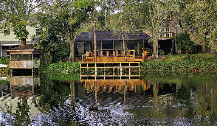 house, wood, lake, duck, landscape, forest, nature