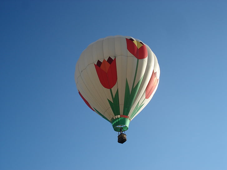 balloon, sky, tulips