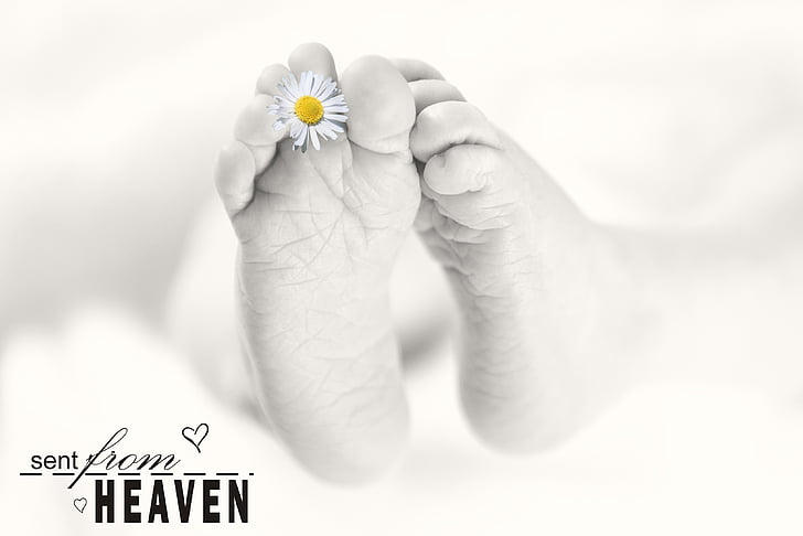 Baby fødder, baby, fødder, genfødt, Baby photography, spædbarn, menneskelige kropsdel