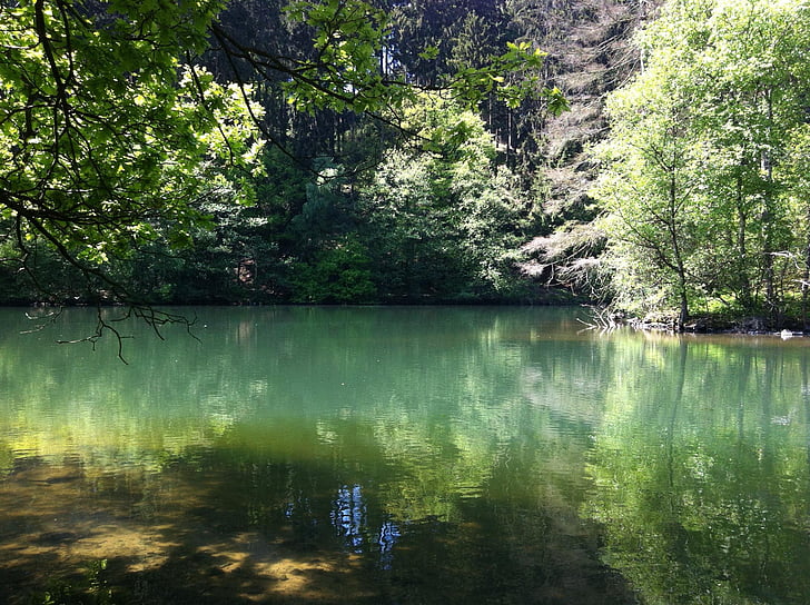 ทะเลสาบ, น้ำ, สีเขียว