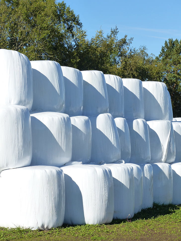 hay bales, plastic, white, grass, agricultural, tree, sky