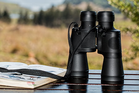 binoculars, birdwatching, spy glass, spying, spy, watch, look see