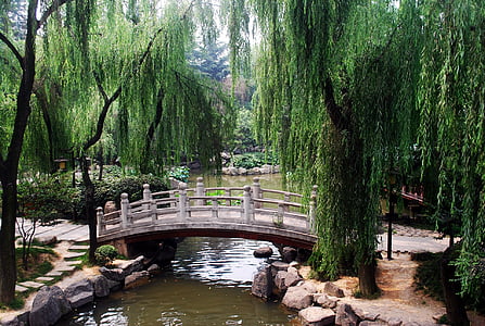 γέφυρα, καμάρα, τοξωτά, Κινεζικά, Ασίας, Κήπος, Πάρκο