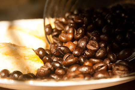 kopi, biji kopi, panggang, aroma, coklat, kafein, espresso