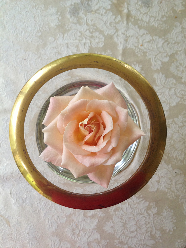 roser, blomst, Pink, Kærlighed, vintage, romantisk, blomstermotiver