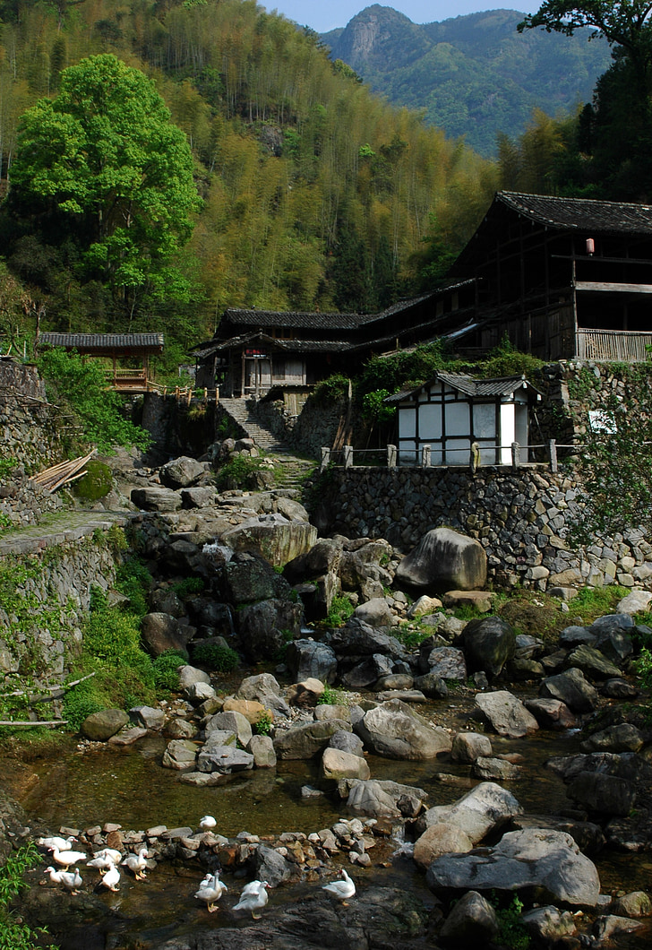 Nanxi, aldea de la montaña, corrientes, Casa, tranquila, ganso, hermosa