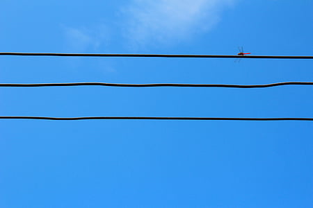 dragonfly, power line, electricity, line, current, energy, strommast