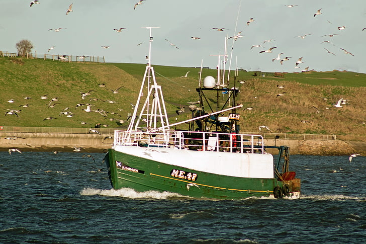 trawlery, Rybaření, Tynemouth, Tyne