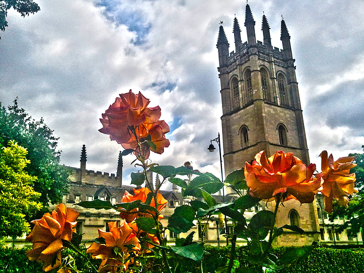 Magdalena, Collage, England, Oxford, blomstermotiver, plante, naturlige