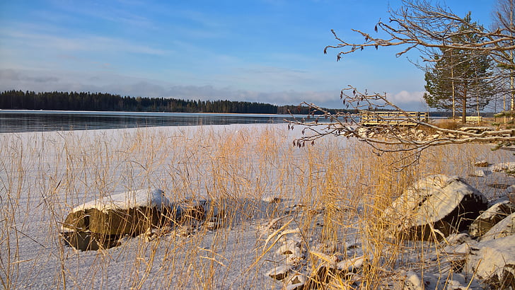paplūdimys, nendrių, žiemą, Suomių, nendrės lova, ežeras Suomijoje, vaizdingas