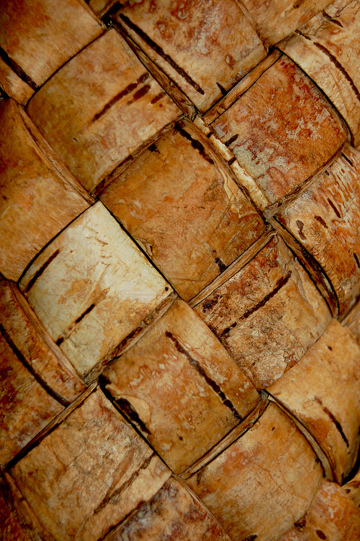 birch bark, texture, light, plenёnka, basket, brown, old
