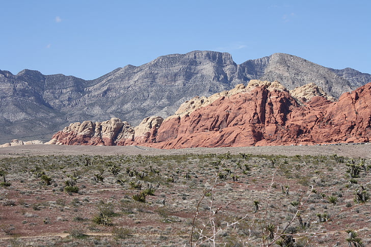 Red rock canyon, las vegas, Nevada, Národní park, Mohavská poušť, krajina, poušť