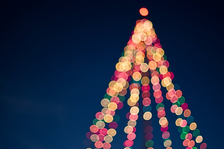 ボケ味, 写真, クリスマス, ライト, クリスマス ツリー, 文化, お祝い