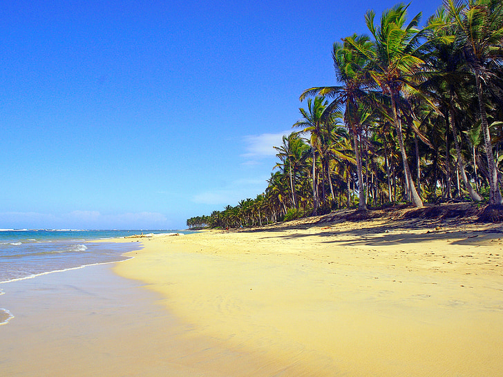 Dominikos Respublika, Punta cana, paplūdimys, kokoso palmių, smėlio, kranto, atostogų