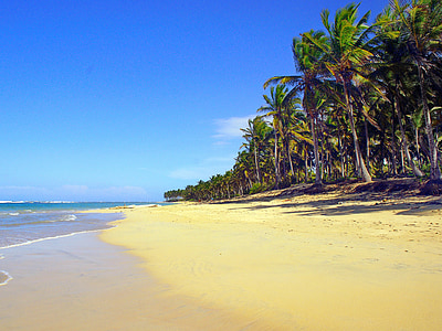 Dominikana, Punta cana, Plaża, palmy kokosowe, piasek, Brzeg, wakacje