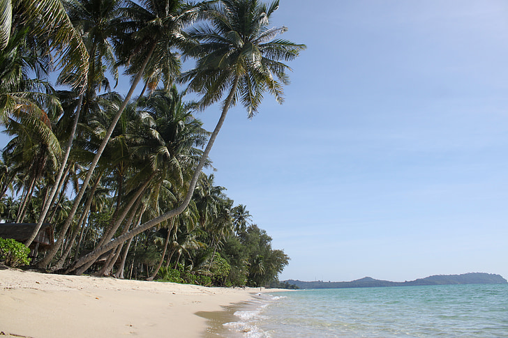 palmbomen, het eiland van koh kood, Thailand, strand, zomer, water, zand