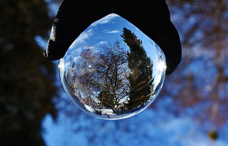 bola de vidre, arbres, transparents, reflectint, sobre, vidre, pilota