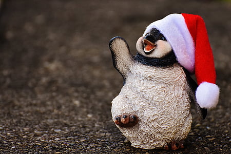 pingvin, slika, Božić, kapu Djeda Mraza, dekoracija, smiješno, životinja