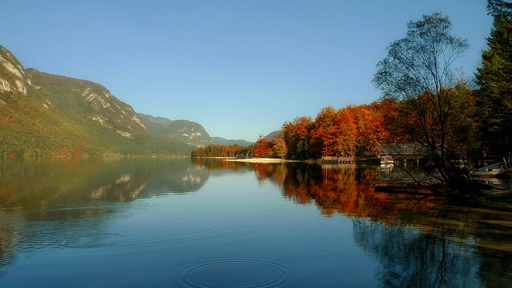 Lago bohinj, Eslovênia, paisagem, cênica, Outono, Outono, folhagem