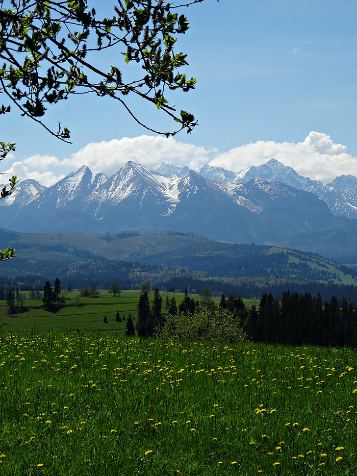 Berge, Tatry, die hohe Tatra, Landschaft, der National park, Natur, Tops