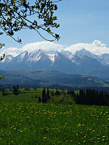 kalnai, Tatrai, Aukštuosiuose Tatruose, kraštovaizdžio, nacionalinis parkas, Gamta, viršūnių
