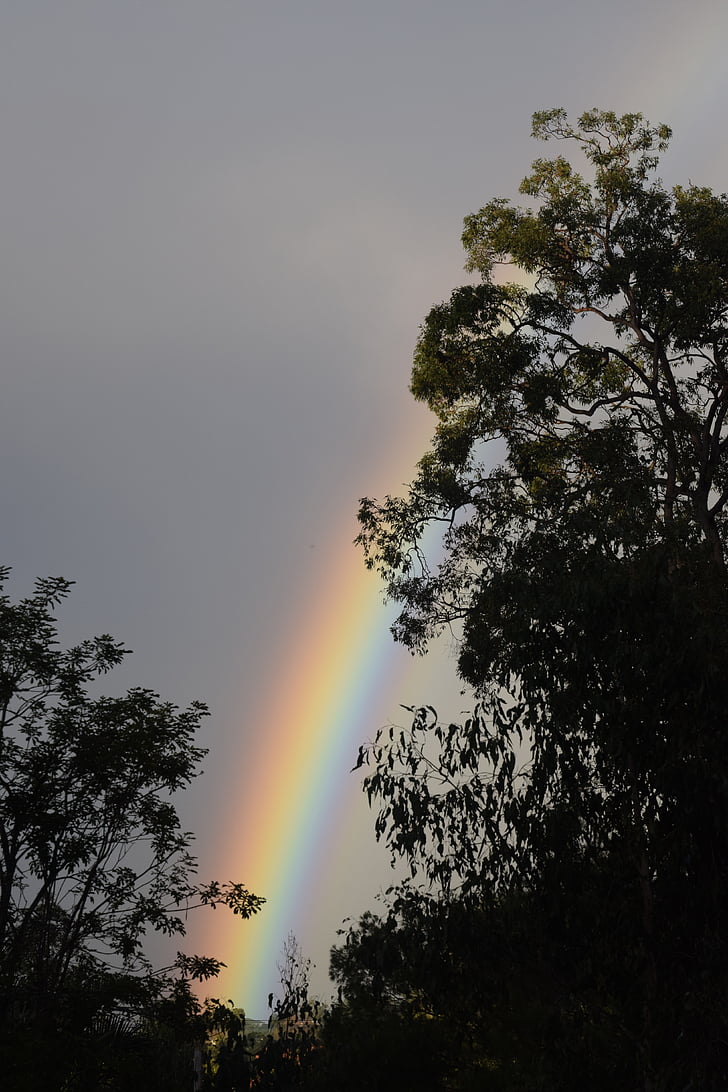 Веселка, Надія, після дощу, Австралія, погода