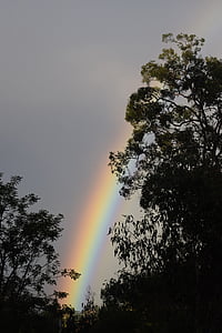 regnbue, håper, etter regn, Australia, Vær