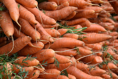 vihannekset, kasvikset, porkkanat