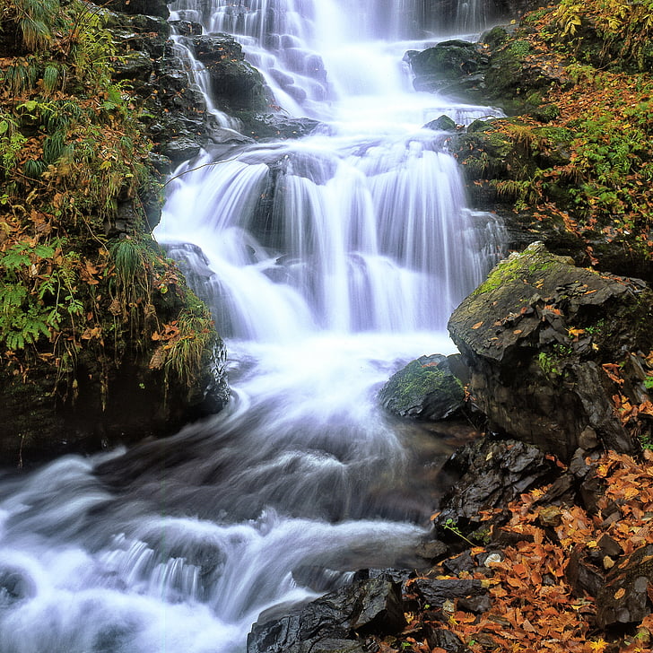 uma pequena cachoeira, folhas caídas, tarde de outono, Shirakami-sanchi, património natural, Japão, Cachoeira