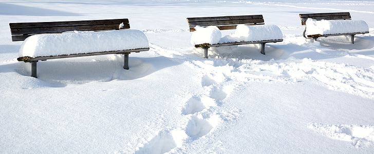 winter, snow, bench, seat, bank, wintry, snowed in