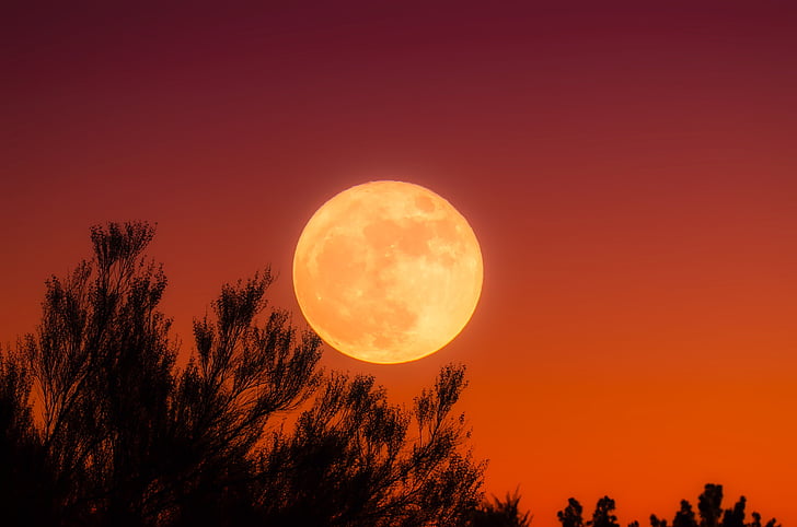 Harvest moon, lua cheia, céu, à noite, pôr do sol, Crepúsculo, noite