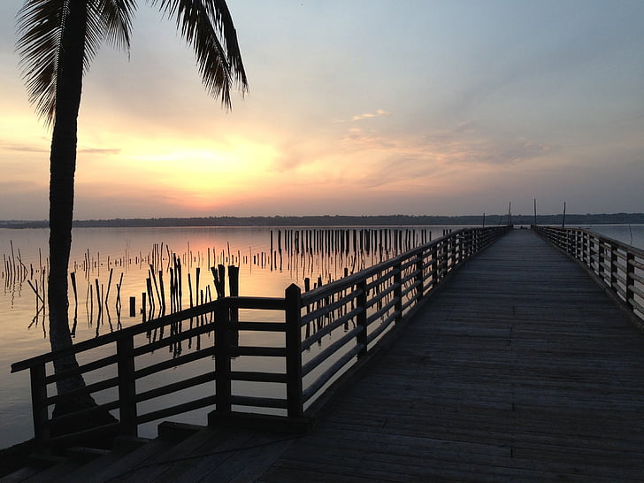 sunset, palm tree, horizon, boardwalk, seaside, sea, ocean