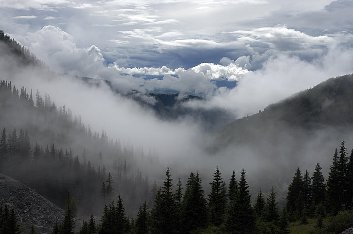 clouds, cloudy, firs, foggy, forest, haze, hills
