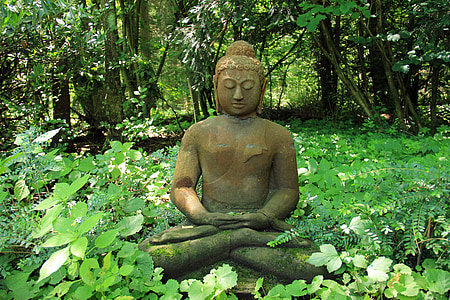 Buda, descanso, pedra, recuperação de, natureza, verde