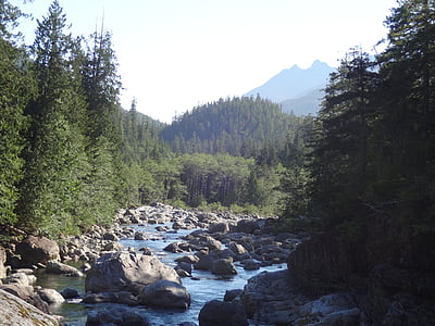 řeka, ostrov Vancouver, stromy, Kanada, voda, Příroda, parku