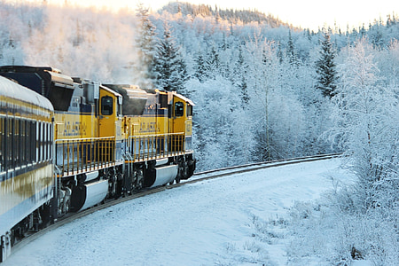 kereta api, Alaska, perjalanan, kereta api, kereta api, musim dingin, transportasi