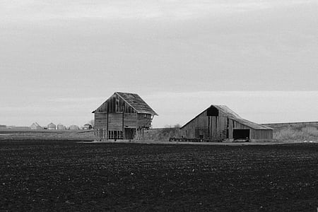 Schwarz, weiß, Hütte, Haus, des ländlichen Raums, schwarz / weiß, im freien