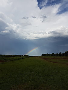 field, arco-iris, rain, blue, cloudy