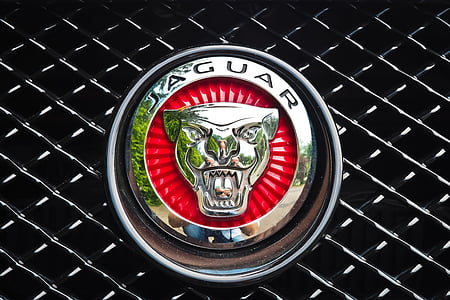 Jaguar, Auto, automobile, véhicule, voiture de sport, emblème, PKW